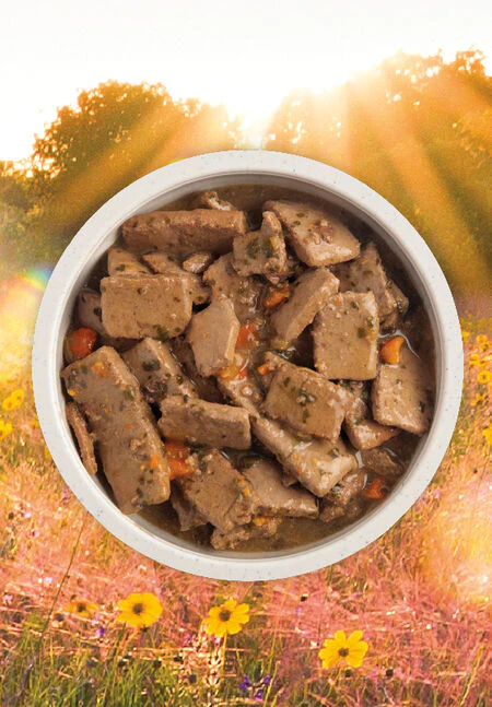 ACANA Premium Chunks, Beef Recipe in Bone Broth Canned Dog Food, 12.8oz - Image 2
