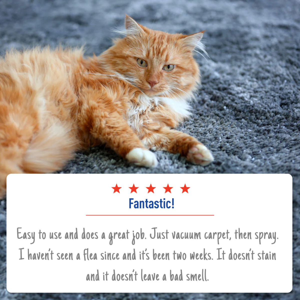 Adams Plus Flea & Tick Carpet Spray - Image 7