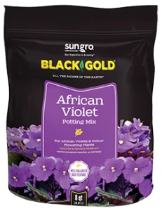 Black Gold African Violet Mix 8qt