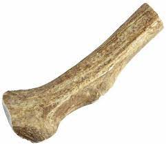 Happy Dog Sliced Elk Antler, Small
