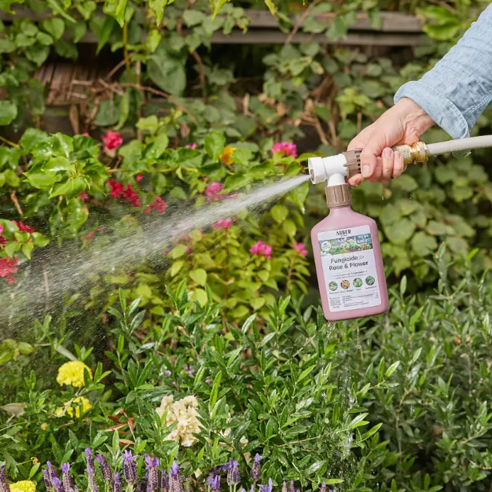 Arber Organic Fungicide for Rose & Flower, 16oz Ready-To-Spray Hose End - Image 3