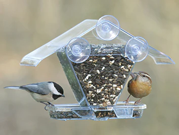 Window Cafe Bird Feeder