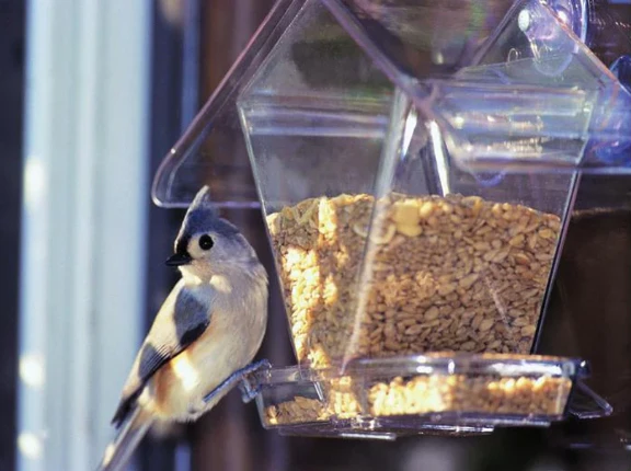 Window Cafe Bird Feeder - Image 2