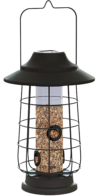 Solar Lantern Tube Feeder, 1lb capacity