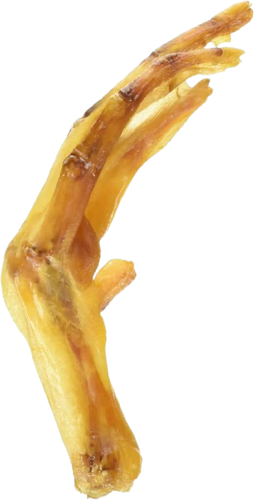 Barkworthies Duck Feet