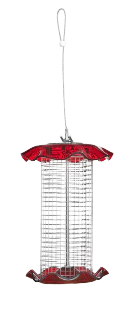 Small Sunflower Seed Forever Feeder with Stainless Steel Screen in Red
