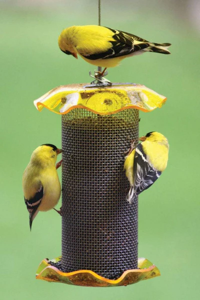1 Quart Yellow Nyjer Forever Feeder, Mesh Feeder, 5"W x 6"H - Image 2