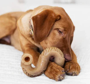 Benebone Beef Tripe Bone Dog Chew Toy - Image 2