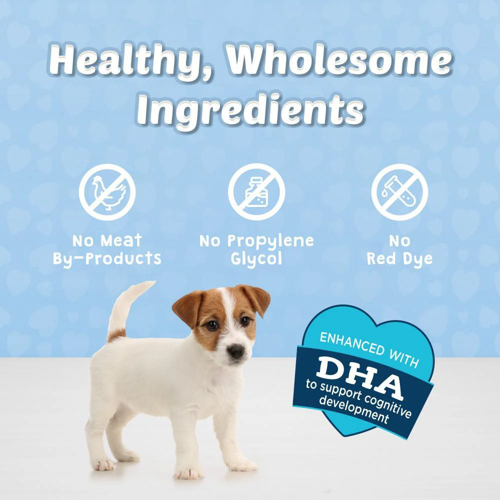 Blue Buffalo Bits Savory Salmon Natural Soft-Moist Training Dog Treats - Image 3