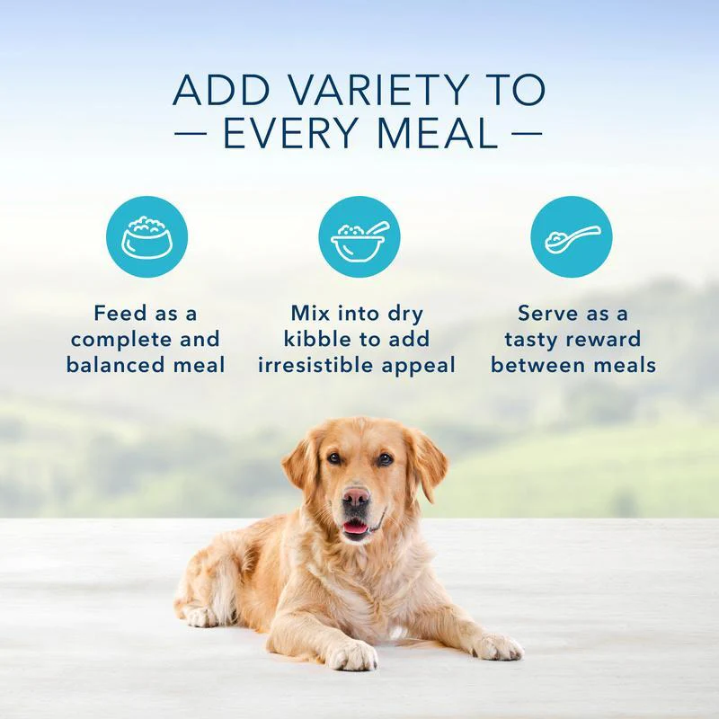 Blue Buffalo Family Favorites Turkey Day Feast Canned Dog Food - Image 3