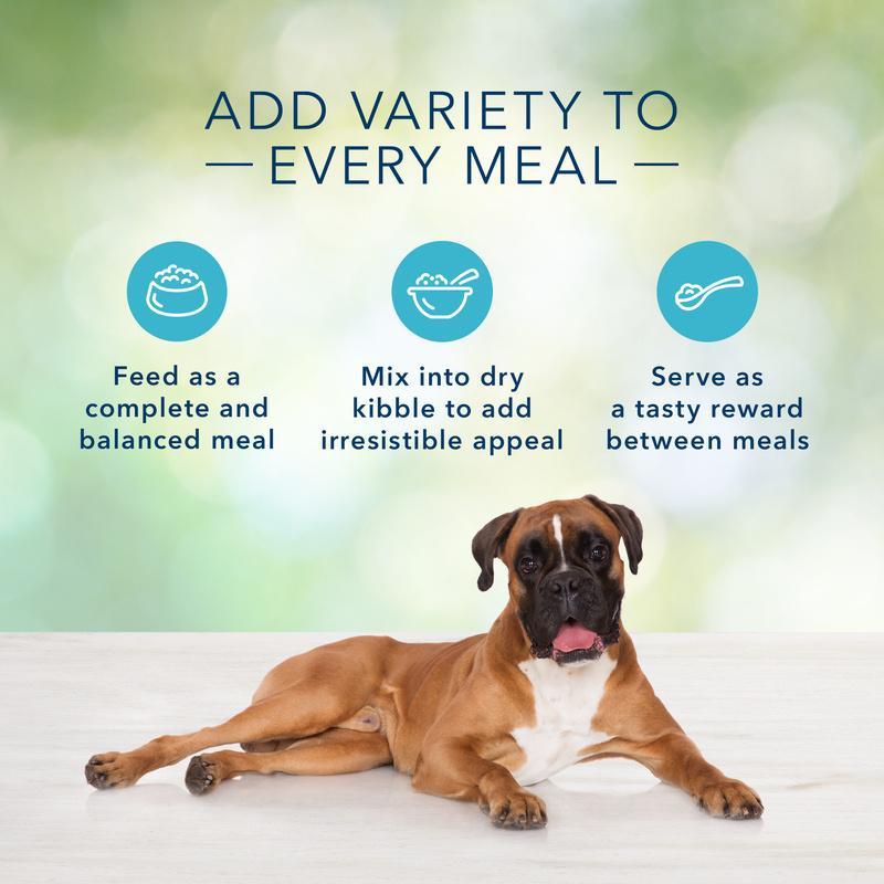 Blue Buffalo Freedom Grain Free Beef Recipe Canned Dog Food - Image 5