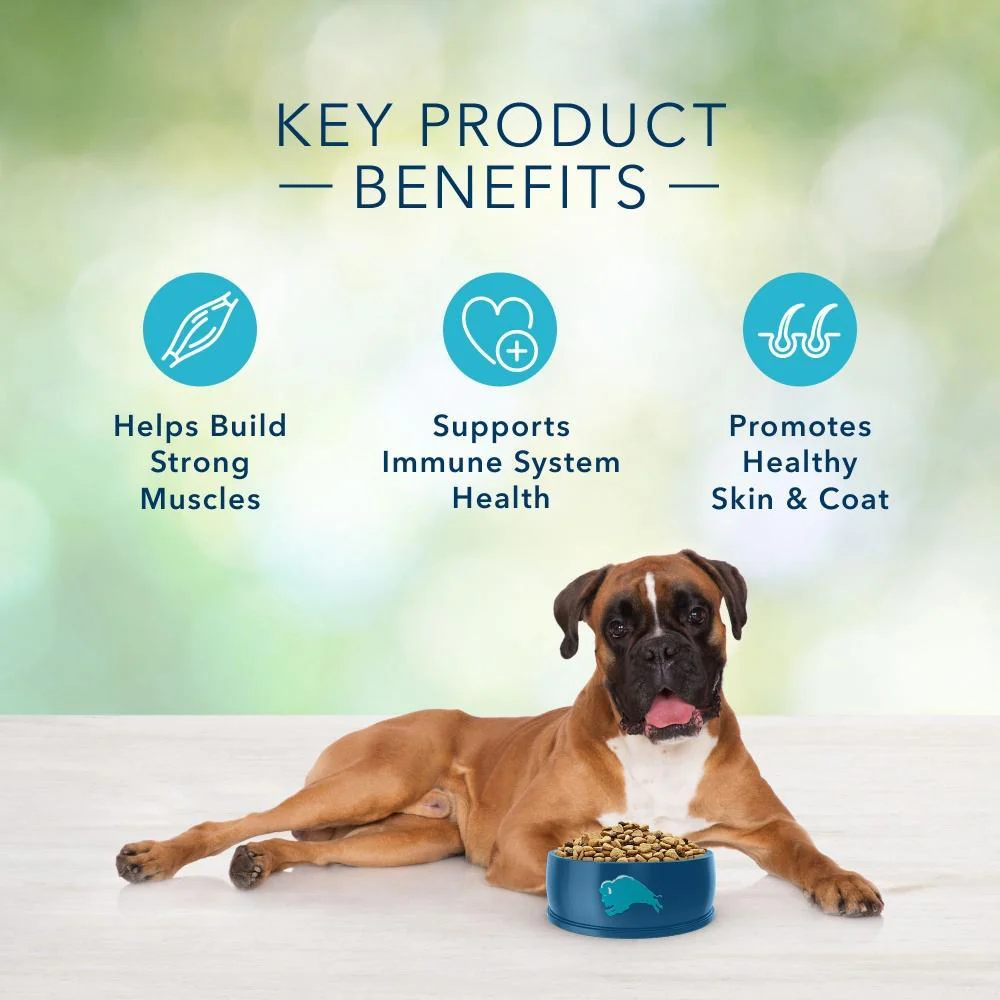 Blue Buffalo Freedom Grain Free Chicken Recipe Adult Dry Dog Food - Image 4
