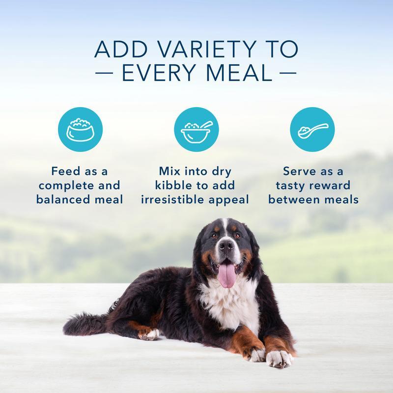 Blue Buffalo Home Style Recipe Large Breed Chicken Canned Dog Food - Image 6