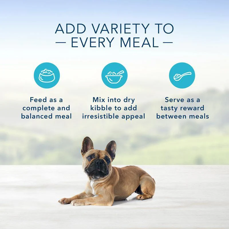 Blue Buffalo Homestyle Recipe Small Breed Chicken Dinner with Garden Vegetables & Brown Rice Canned Dog Food - Image 4