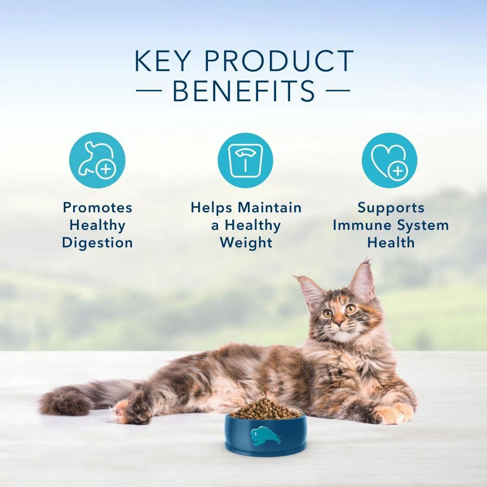 Blue Buffalo Indoor Health Natural Salmon & Brown Rice Adult Dry Cat Food - Image 4