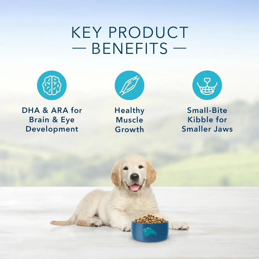 Blue Buffalo Life Protection Natural Chicken & Brown Rice Recipe Puppy Dry Dog Food - Image 4