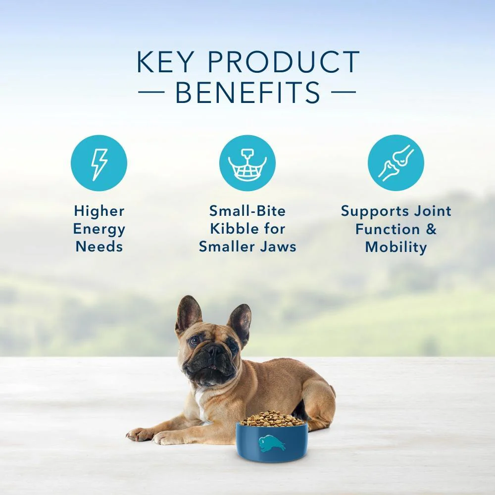 Blue Buffalo Life Protection Natural Chicken & Brown Rice Recipe Small Breed Adult Dry Dog Food - Image 4