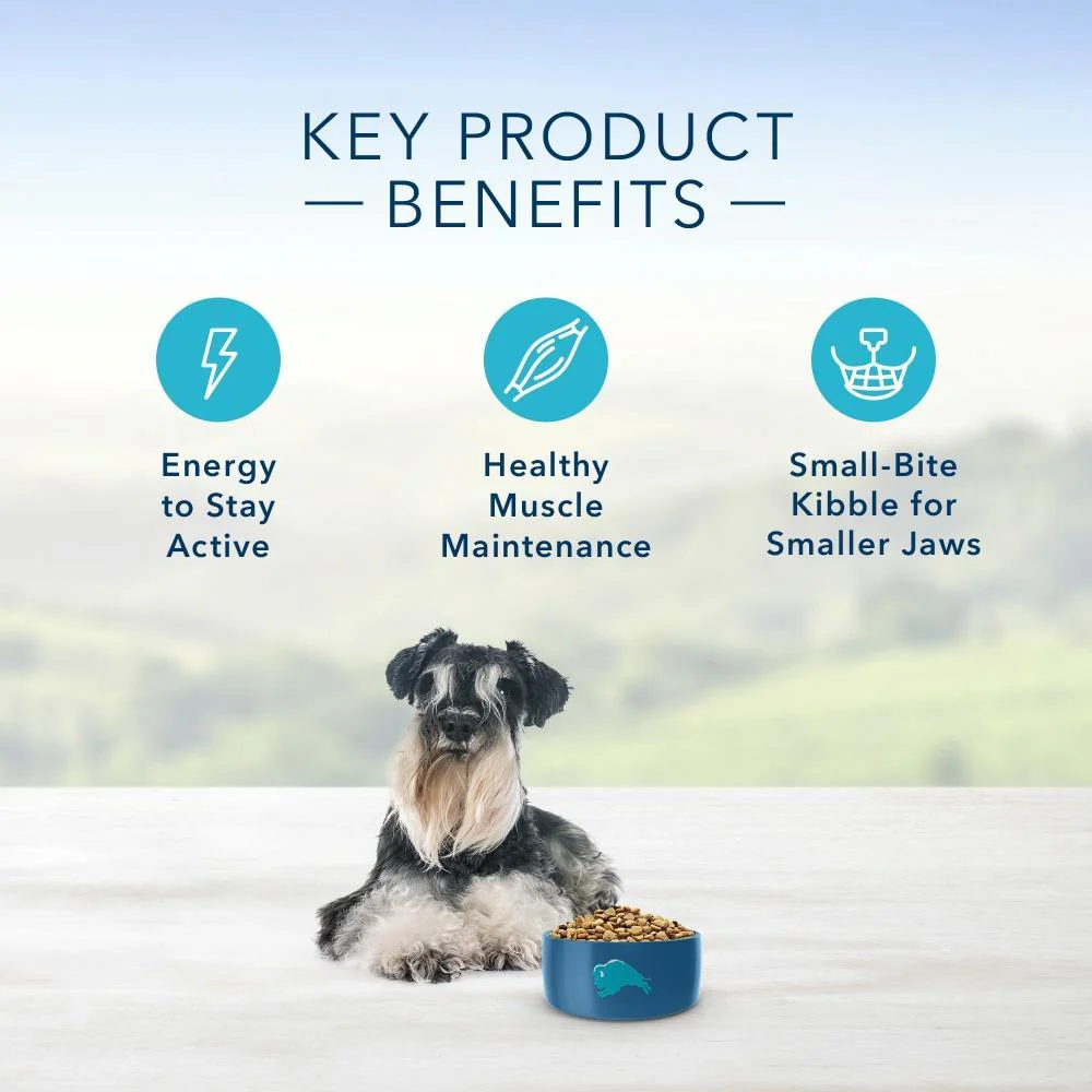 Blue Buffalo Life Protection Natural Chicken & Brown Rice Recipe Small Breed Senior Dry Dog Food - Image 4