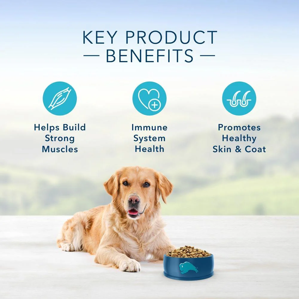 Blue Buffalo Life Protection Natural Fish & Brown Rice Recipe Adult Dry Dog Food - Image 4