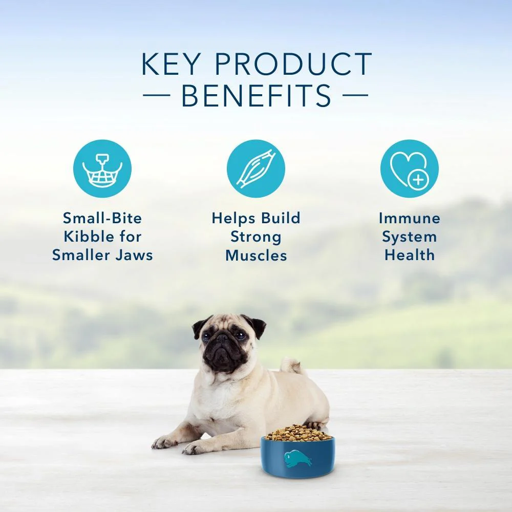Blue Buffalo Life Protection Natural Small Bites Chicken & Brown Rice Recipe Adult Dry Dog Food - Image 4