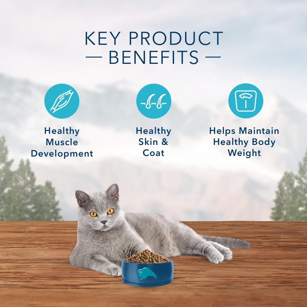 Blue Buffalo Wilderness Grain Free Chicken High Protein Recipe Indoor Dry Cat Food - Image 5