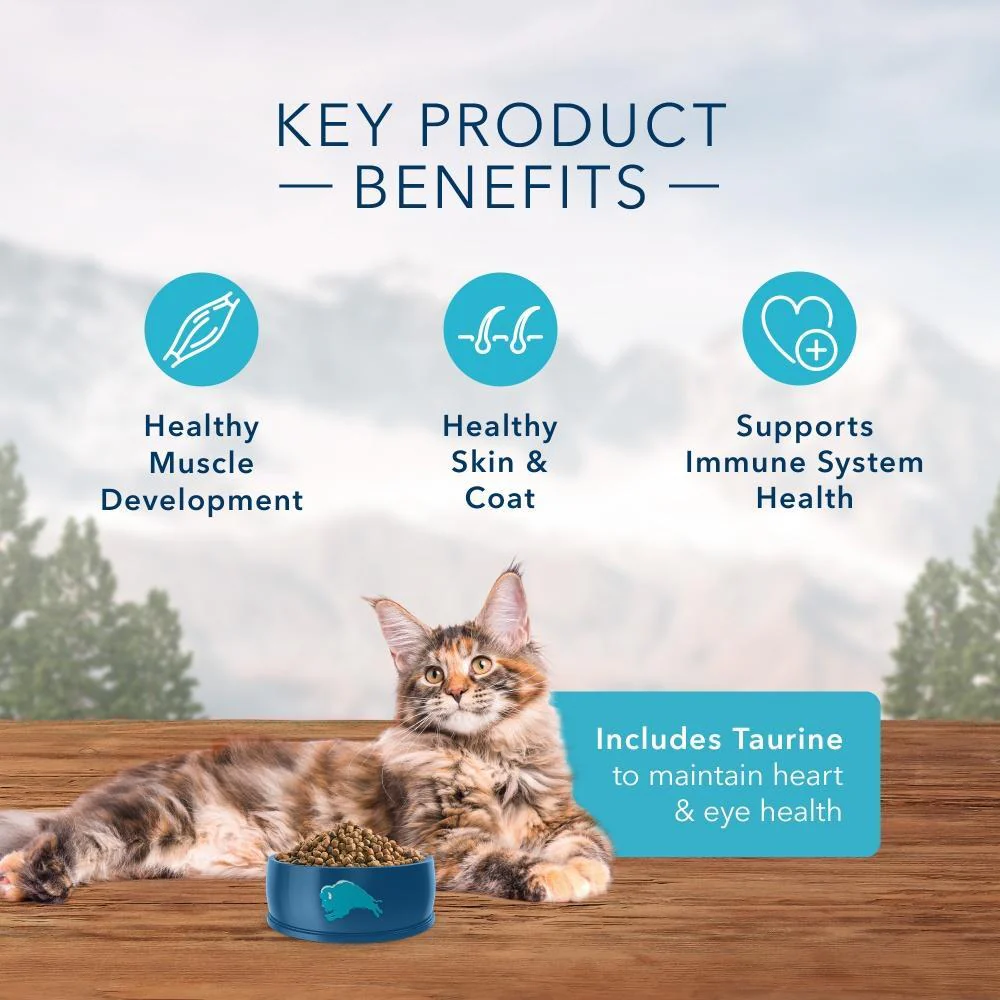 Blue Buffalo Wilderness Grain Free Chicken Recipe Dry Cat Food - Image 4