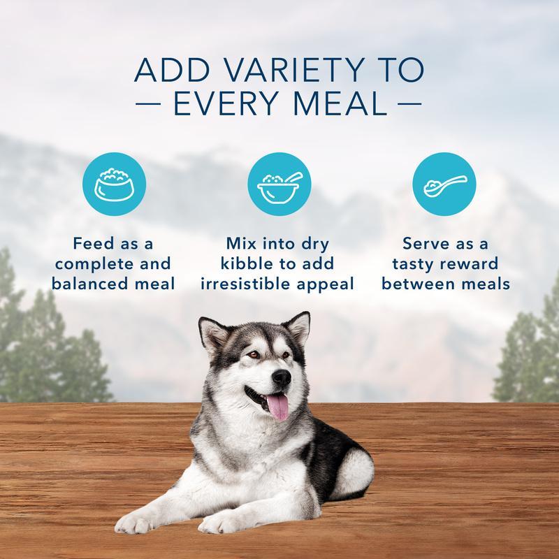 Blue Buffalo Wilderness Grain Free Duck and Chicken Grill Canned Dog Food - Image 4