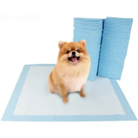 Cadet Hands Off Training Pads, 22"X23", 100ct - Image 2
