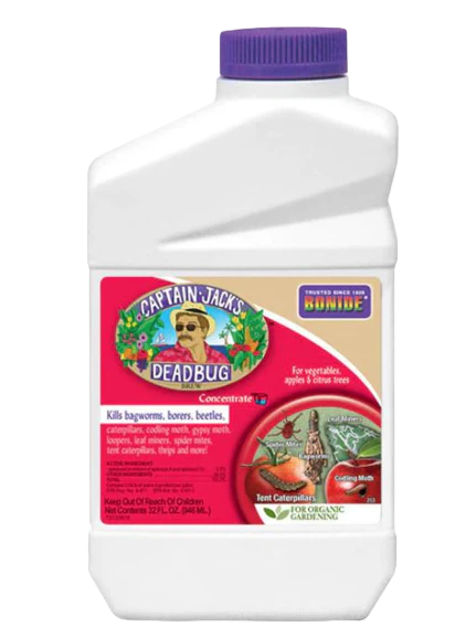 Captain Jack's Deadbug Brew - Image 3