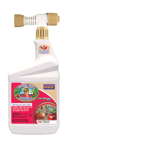 Captain Jack's Deadbug Brew - Image 4