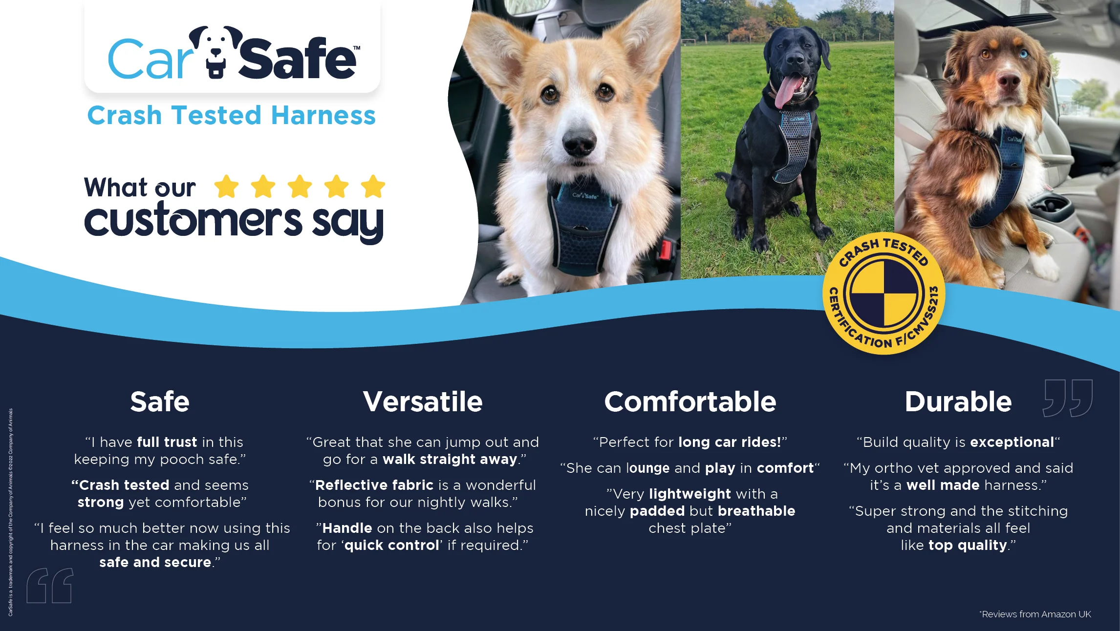 Carsafe Crash Tested Dog Harness - Image 9