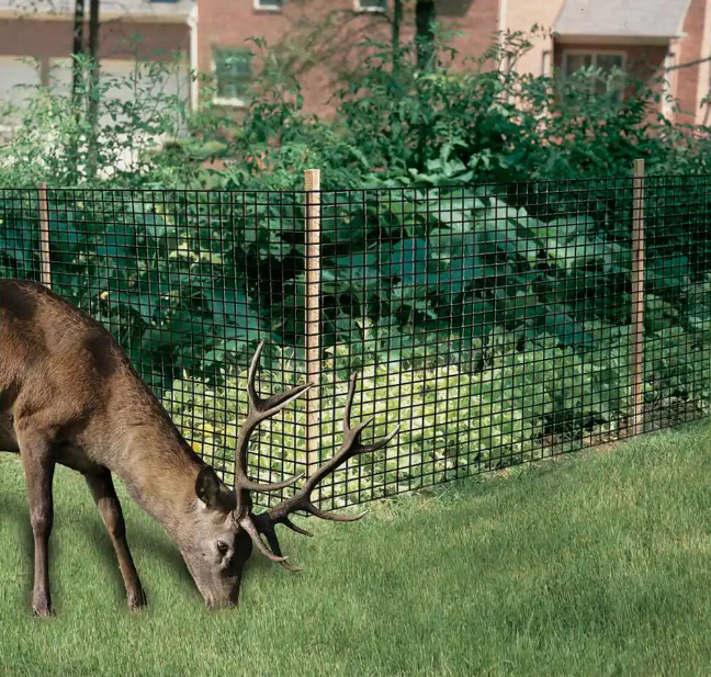 Dalen Deer Netting 7'x100' - Image 2