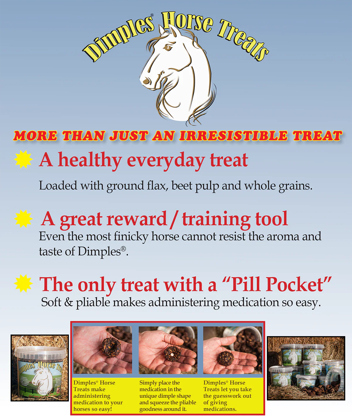 Dimples Horse Treats - Image 2