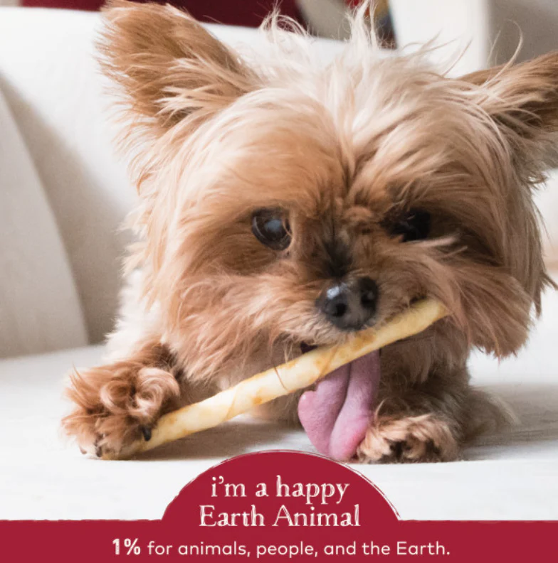 Earth Animal Beef No-Hide Wholesome Chews Dog & Cat STIX - 10 pack - Image 5