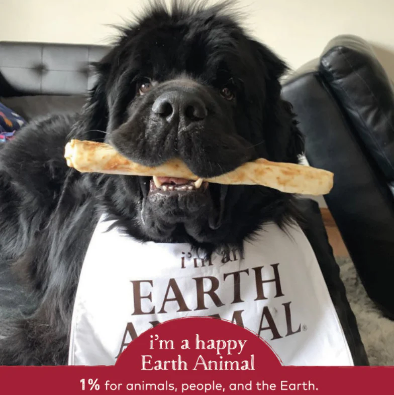 Earth Animal Beef No-Hide Wholesome Dog Chews - Large, 11" - Image 4
