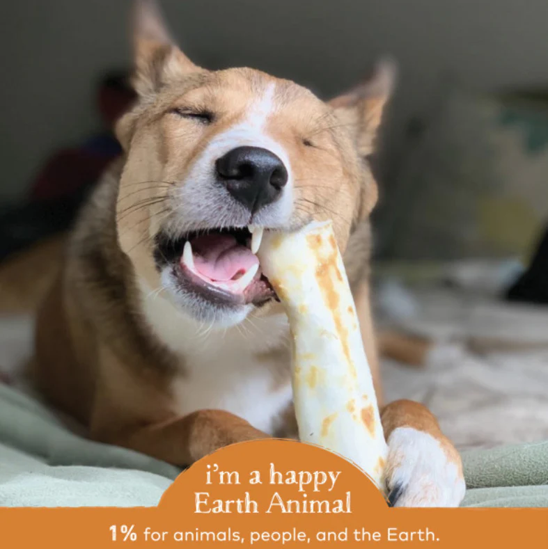 Earth Animal Chicken No-Hide Wholesome Dog Chews - Medium, 7" - Image 5