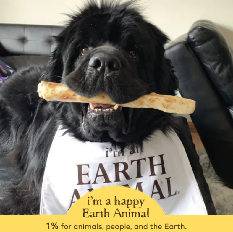 Earth Animal Peanut Butter No-Hide Wholesome Dog Chews - Large, 11" - Image 4