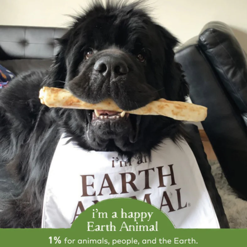 Earth Animal Pork No-Hide® Wholesome Dog Chews - Large, 11" - Image 4