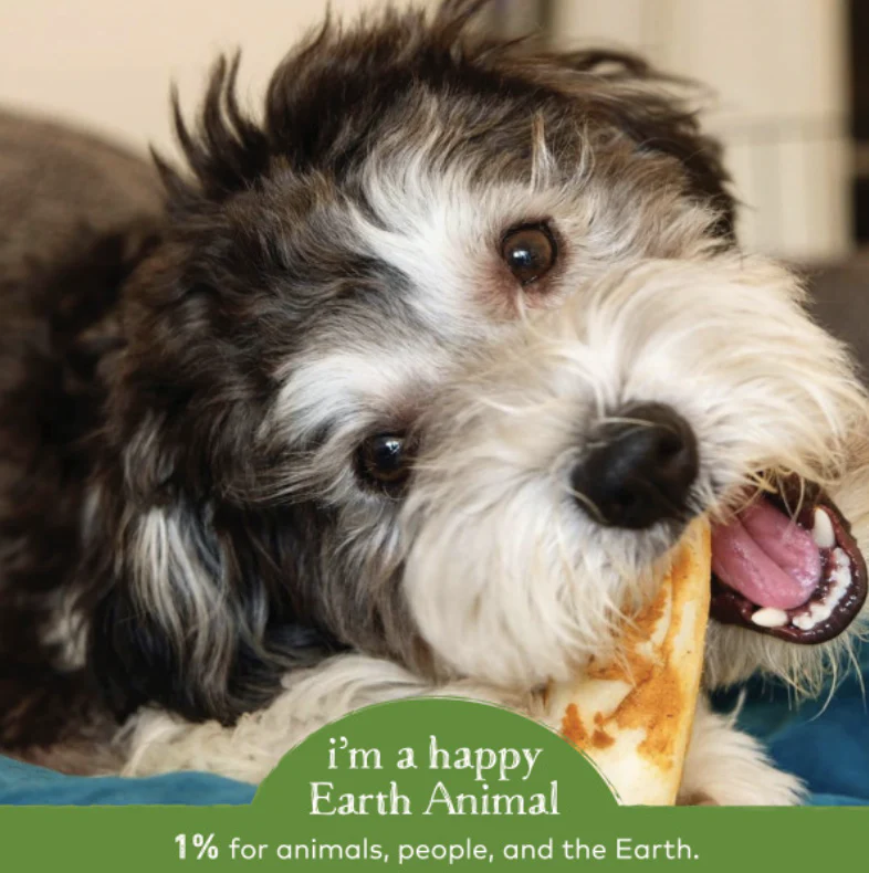 Earth Animal Pork No-Hide® Wholesome Dog Chews - Small, 4" - Image 5