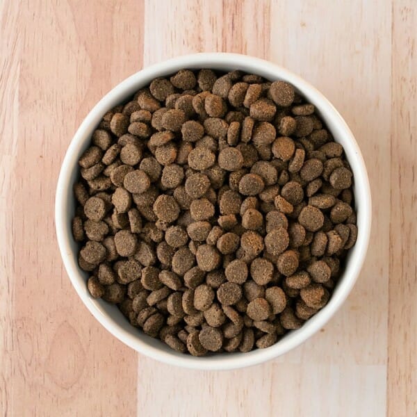 Earthborn Holistic Ancient Grains & Superfood (Unrefined) Smoked Salmon Recipe Dry Dog Food - Image 2