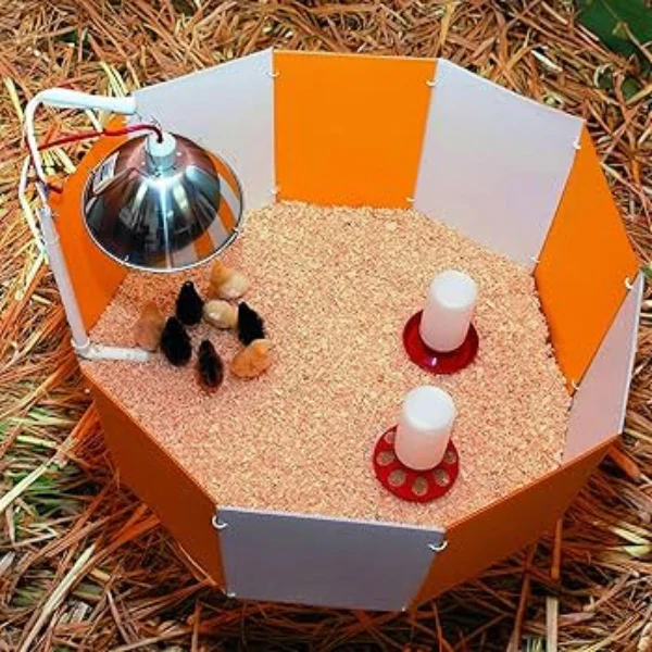 Farm Innovators Baby Chick Starter Home - Image 2