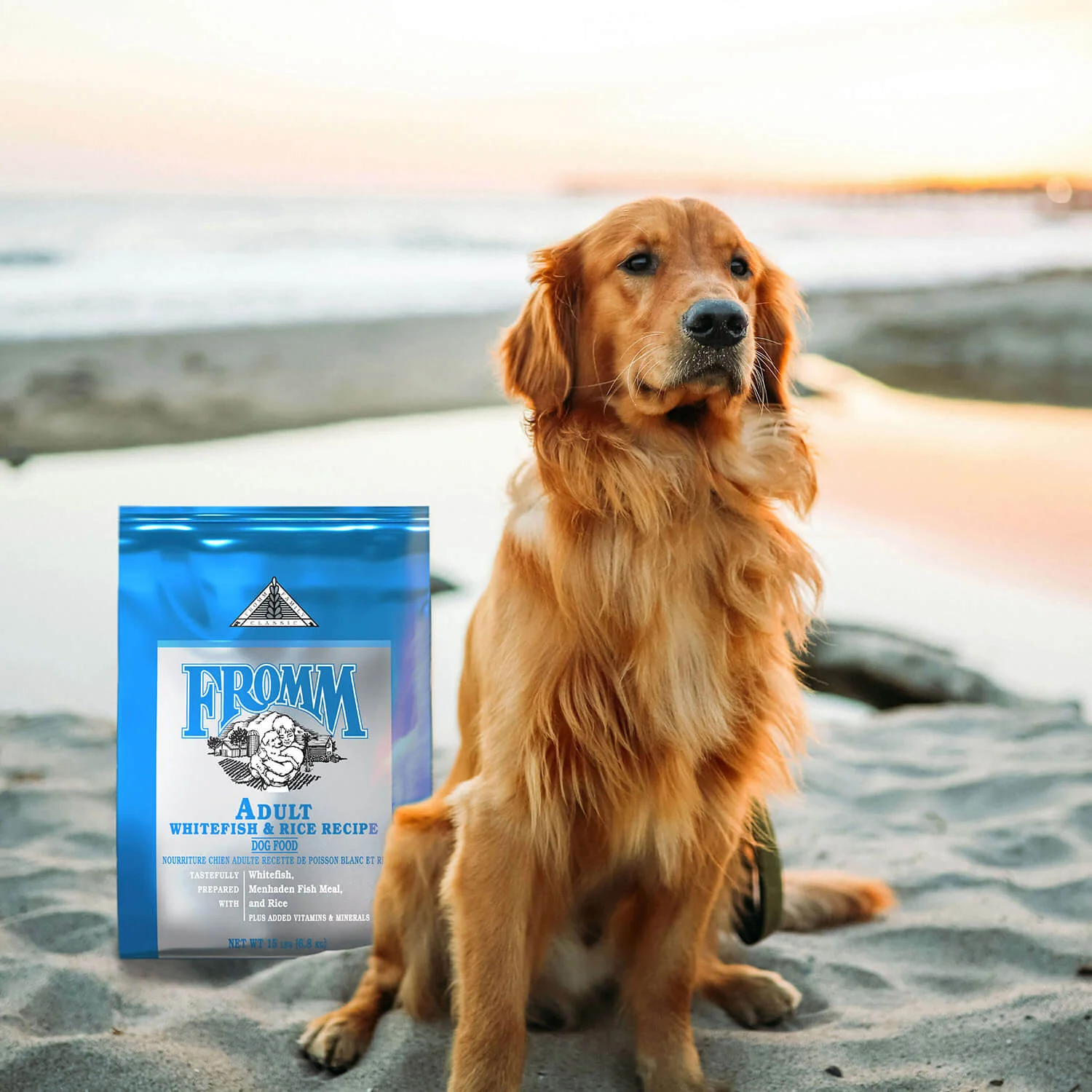 Fromm Classic Adult Whitefish & Rice Dry Dog Food - Image 8