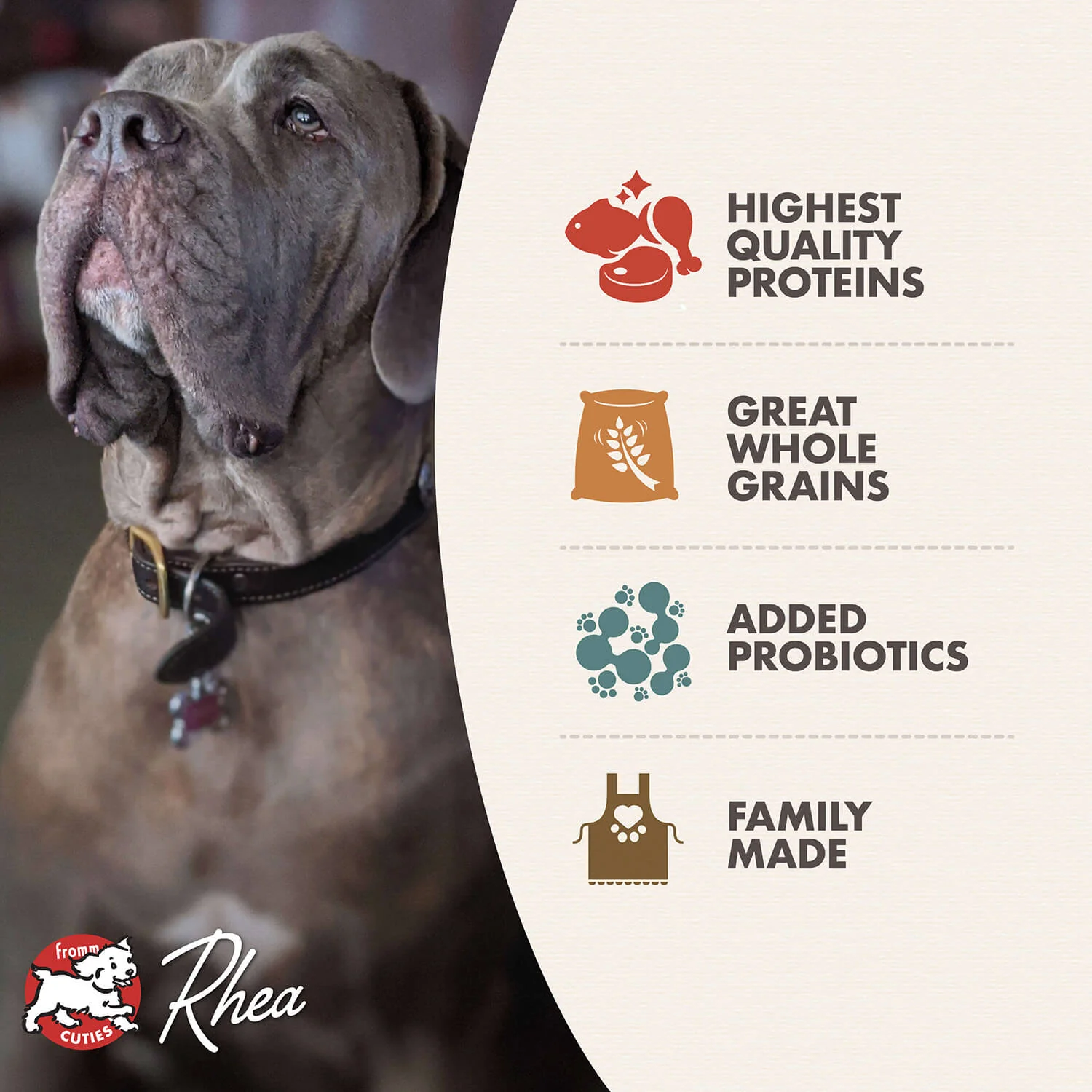 Fromm Classic Adult Large & Giant Breed Dry Dog Food - Image 6