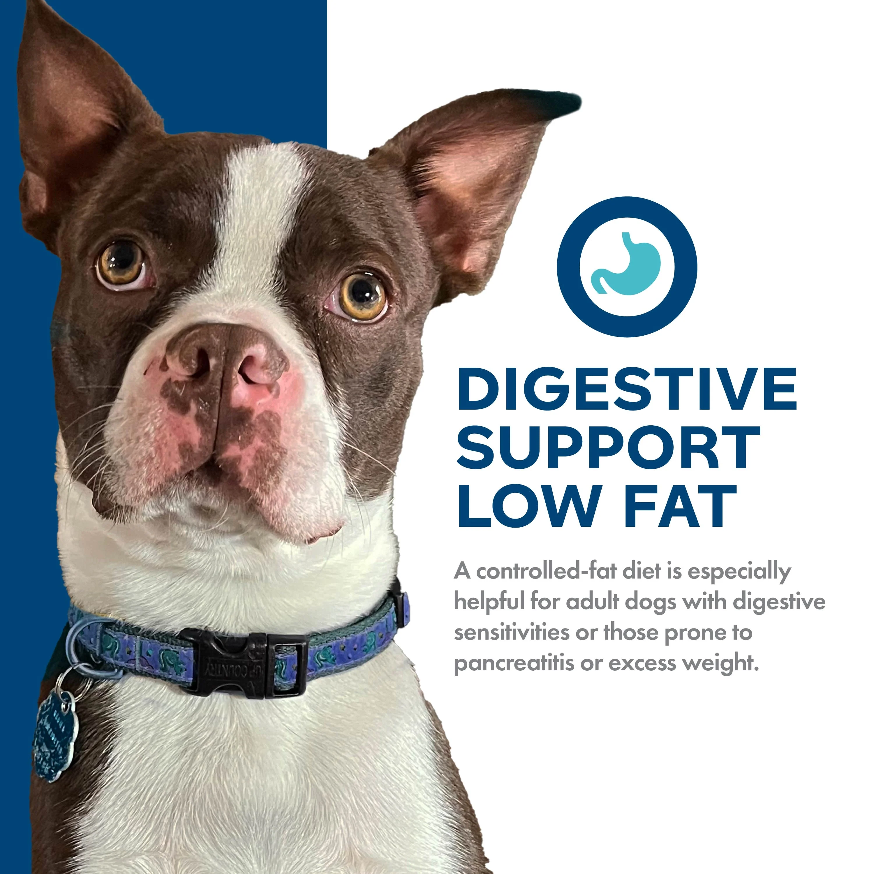 Fromm Nutritionals Digestive Support Low Fat Chicken & Oatmeal Recipe Dry Dog Food - Image 3