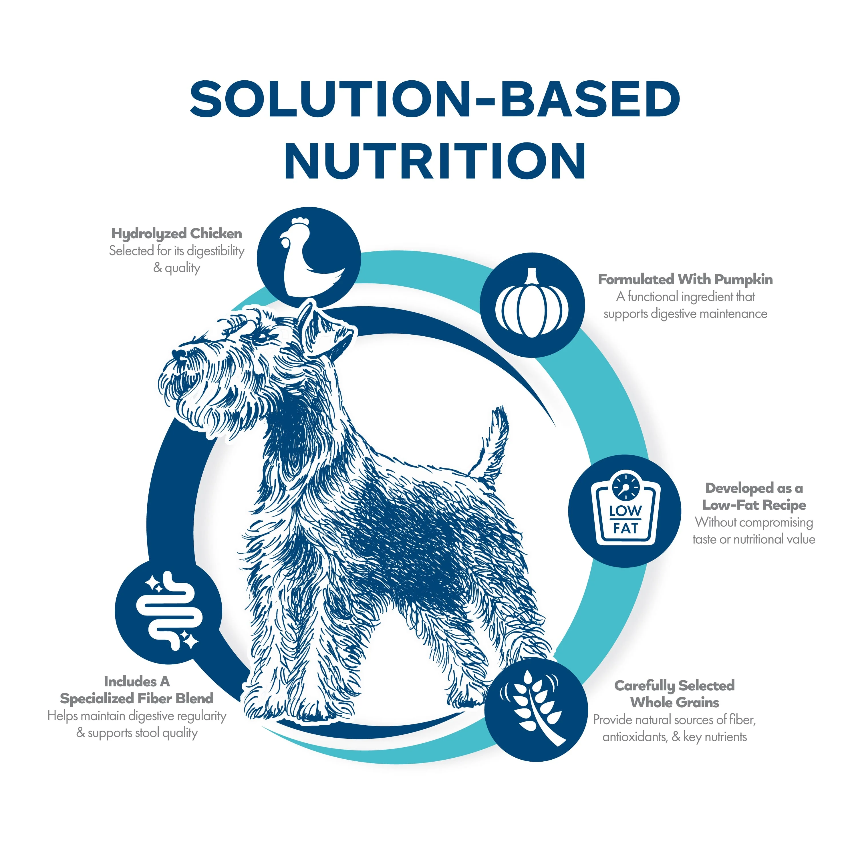 Fromm Nutritionals Digestive Support Low Fat Chicken & Oatmeal Recipe Dry Dog Food - Image 4