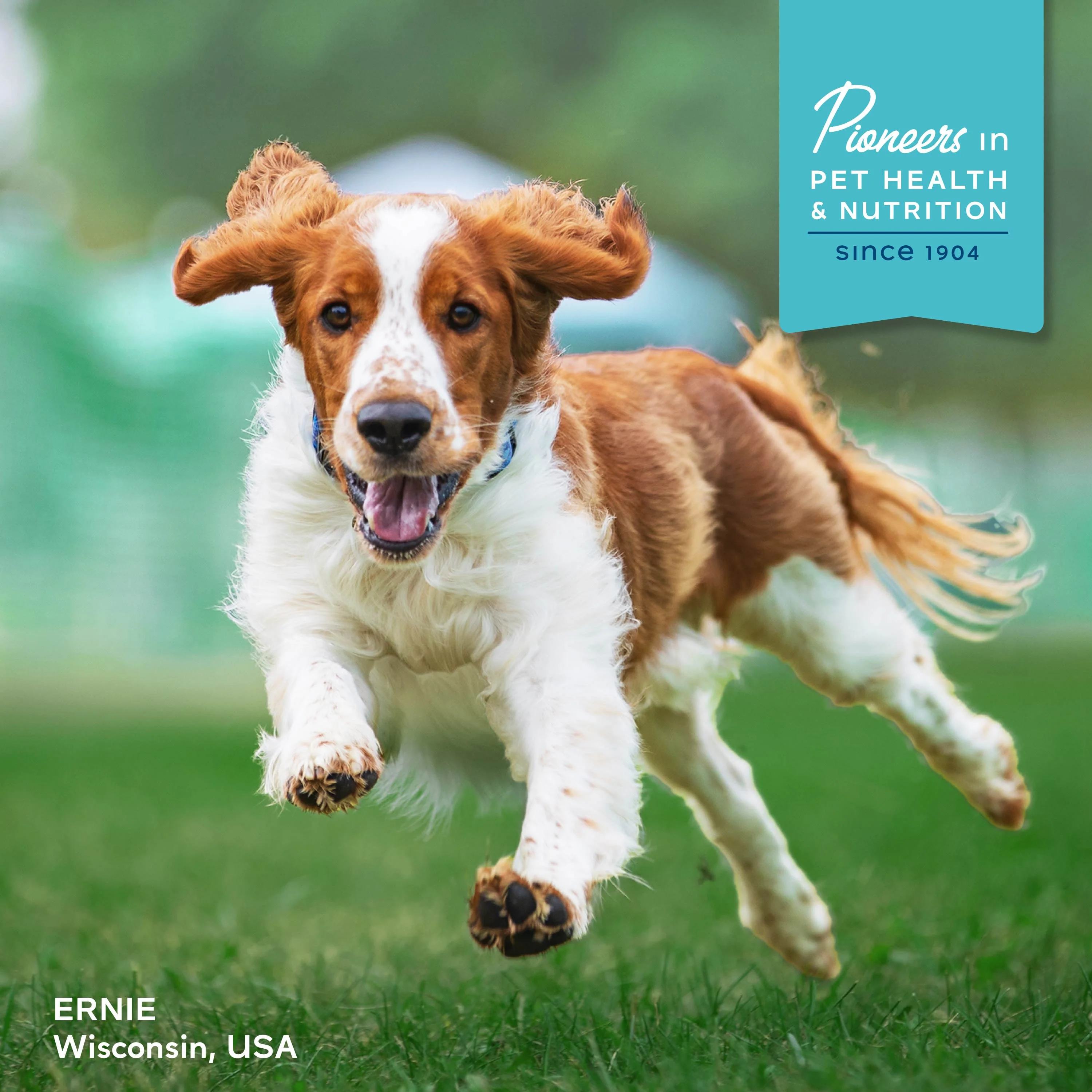 Fromm Nutritionals Digestive Support Low Fat Chicken & Oatmeal Recipe Dry Dog Food - Image 5
