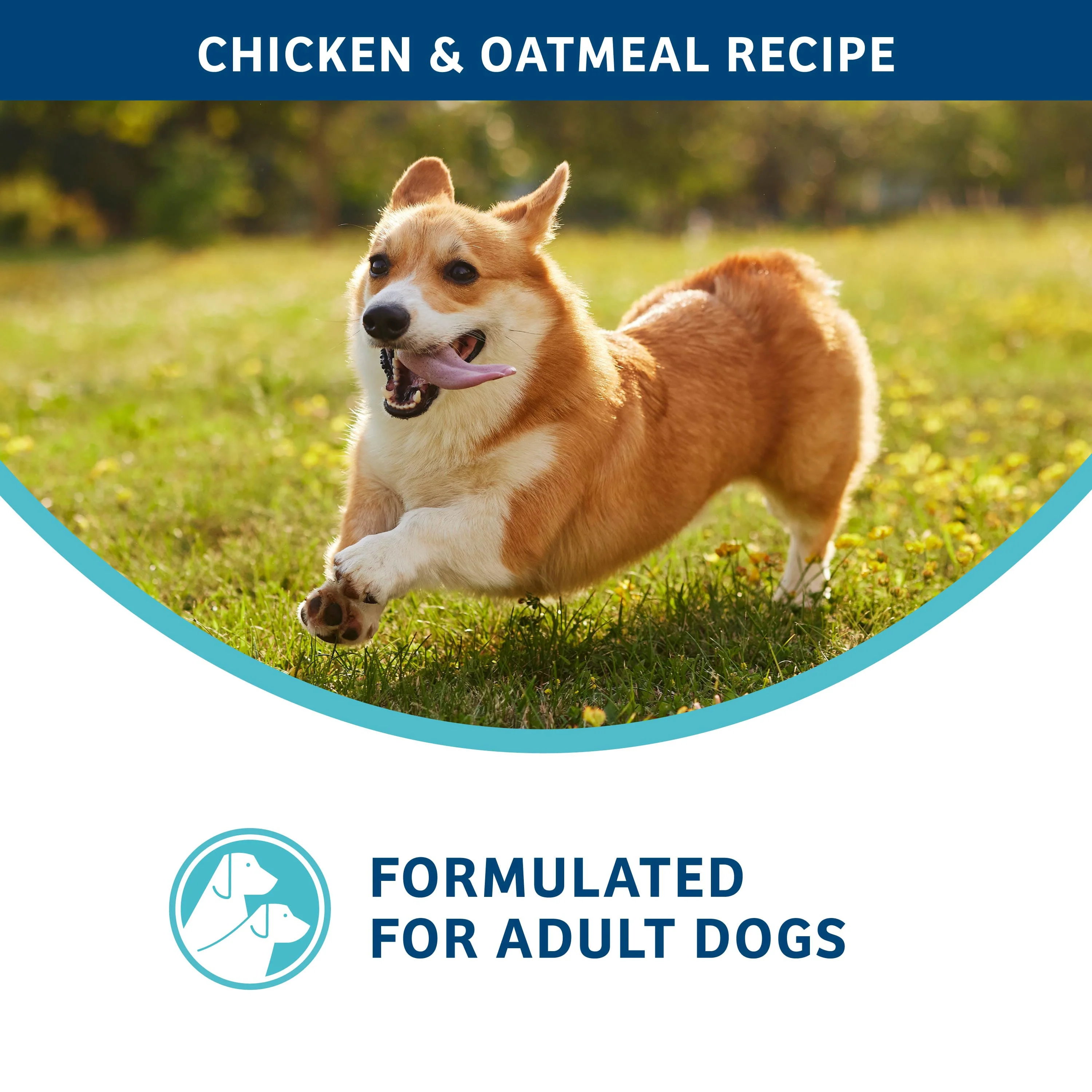 Fromm Nutritionals Digestive Support Low Fat Chicken & Oatmeal Recipe Dry Dog Food - Image 6