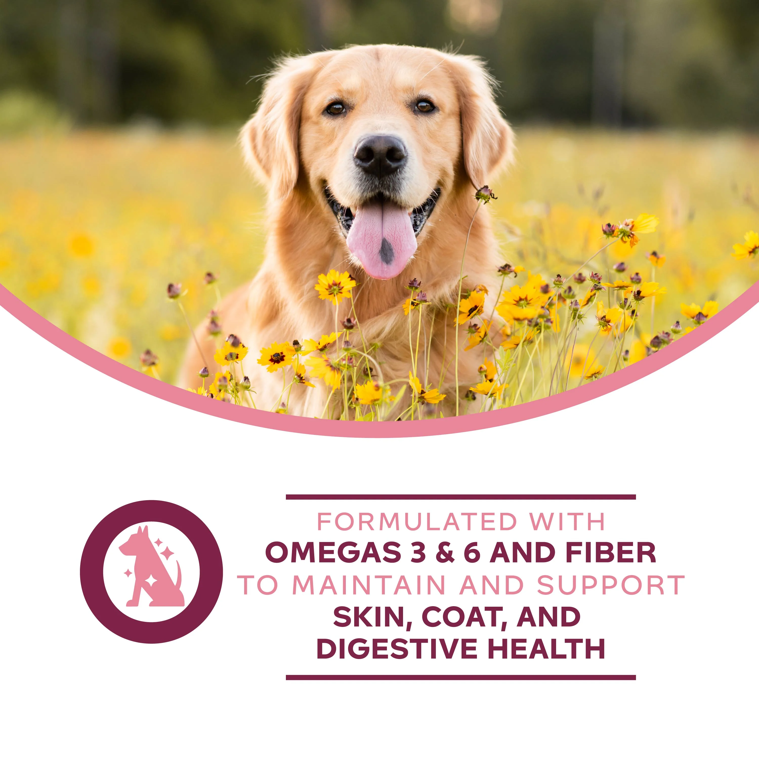 Fromm Nutritionals Sensitive Skin & Stomach Complete Dog Food, 13oz - Image 6