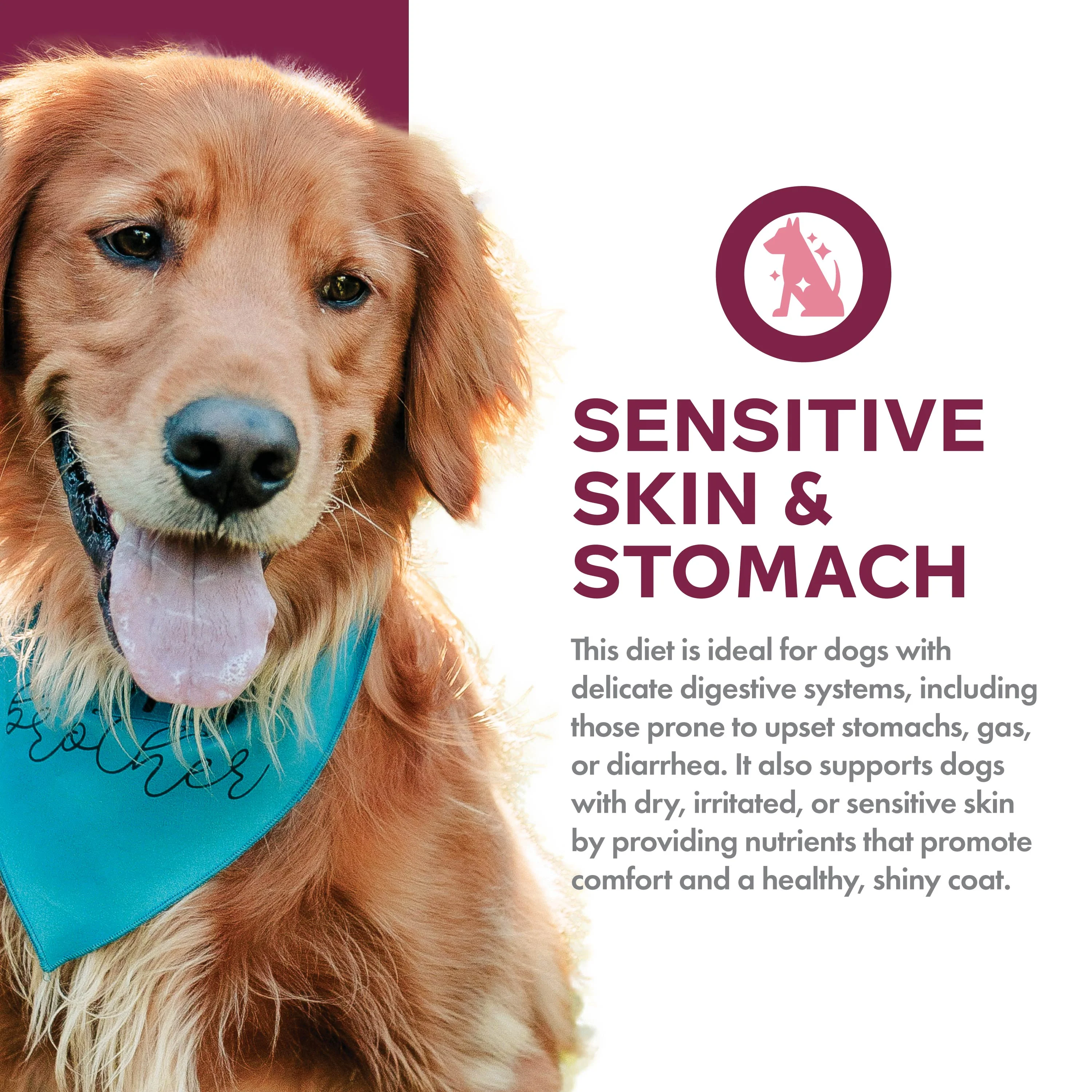 Fromm Nutritionals Sensitive Skin & Stomach Salmon & Whole Oats Dry Dog Food - Image 3