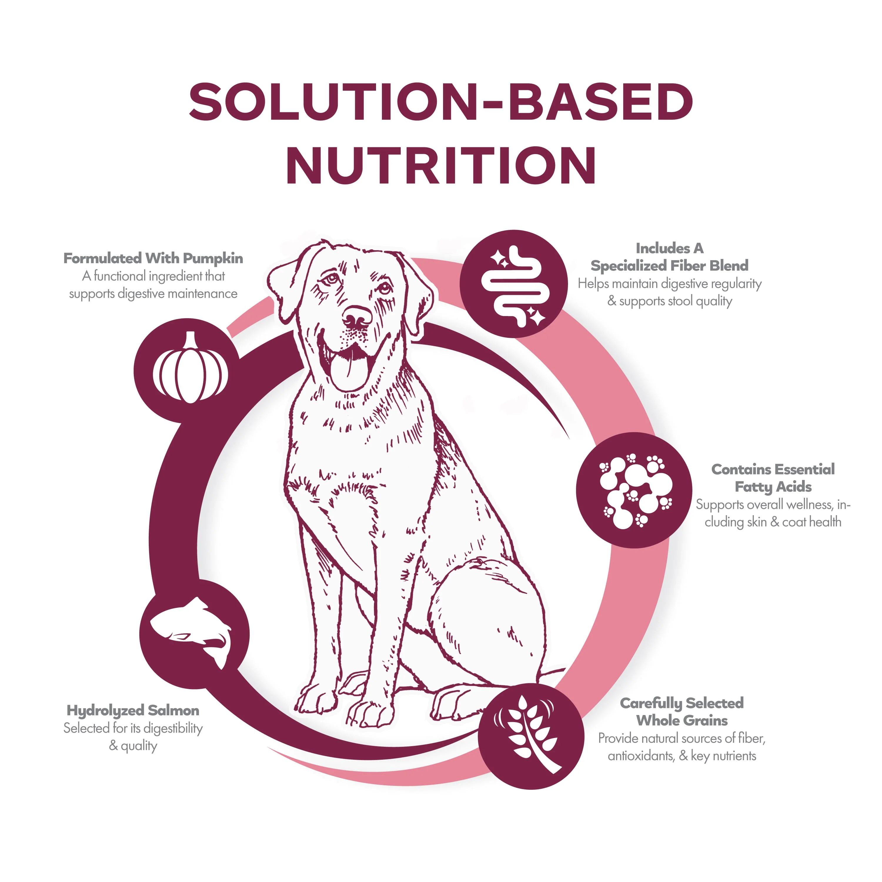 Fromm Nutritionals Sensitive Skin & Stomach Salmon & Whole Oats Dry Dog Food - Image 4